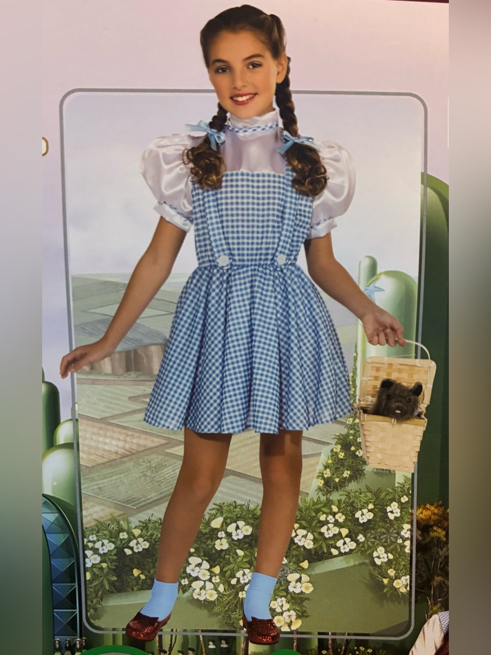Rubies The Wizard of Oz Dorothy Costume Dress